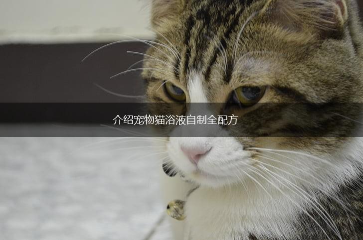 介绍宠物猫浴液自制全配方,第1张
