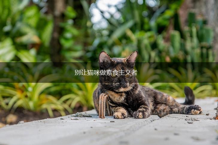 别让猫咪做素食主义者,第1张