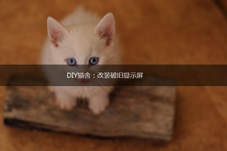 DIY猫舍：改装破旧显示屏,第1张