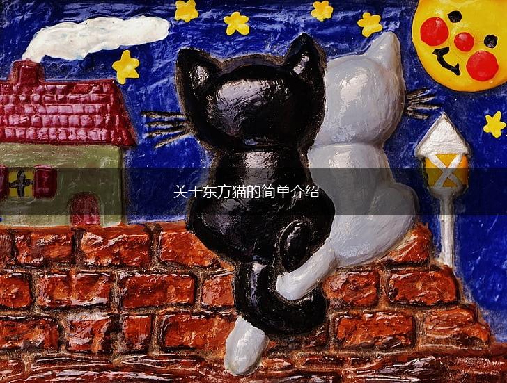 关于东方猫的简单介绍,第1张