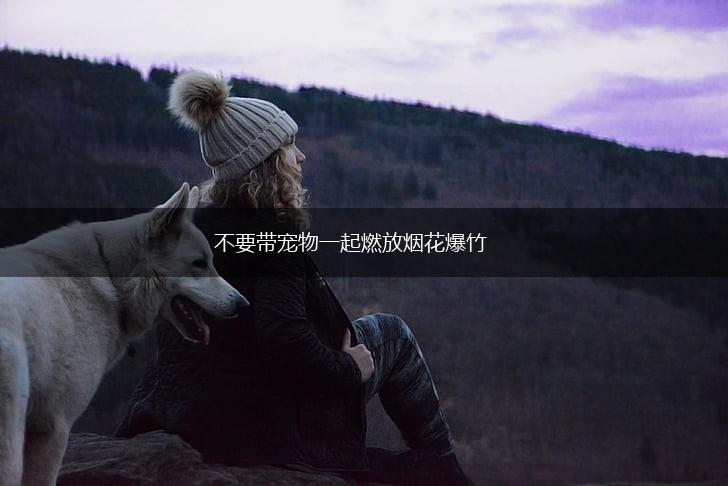 不要带宠物一起燃放烟花爆竹,第1张