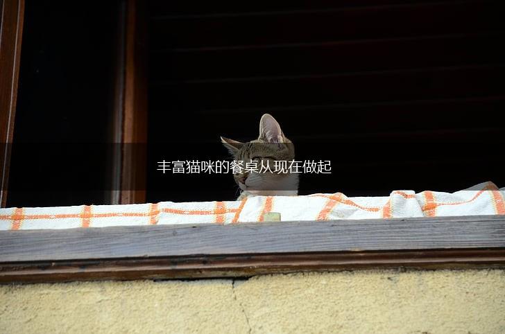 丰富猫咪的餐桌从现在做起,第1张