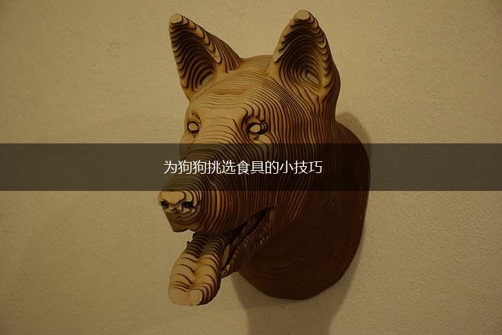 为狗狗挑选食具的小技巧,第1张