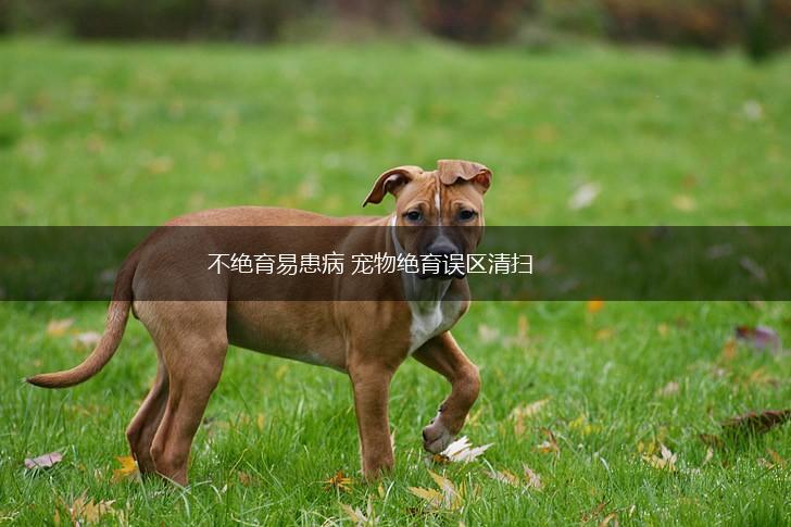 不绝育易患病 宠物绝育误区清扫,第1张