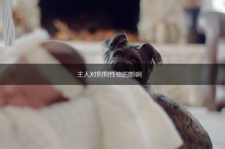 主人对狗狗性格的影响,第1张