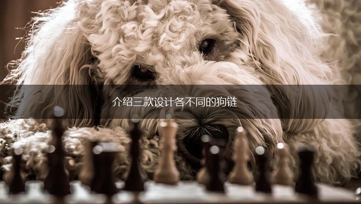 介绍三款设计各不同的狗链,第1张