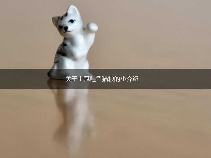 关于上冠鲑鱼猫粮的小介绍,第1张