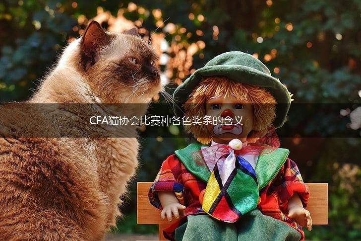 CFA猫协会比赛种各色奖条的含义,第1张