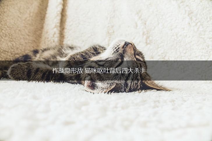 作战隐形敌 猫咪呕吐背后四大杀手,第1张