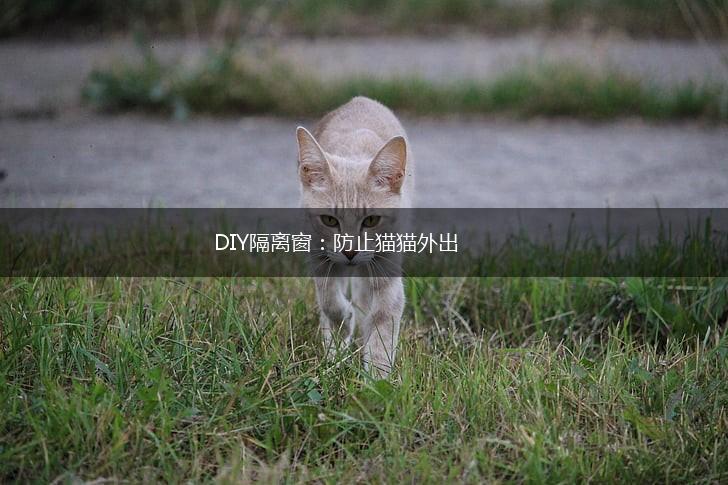 DIY隔离窗：防止猫猫外出,第1张