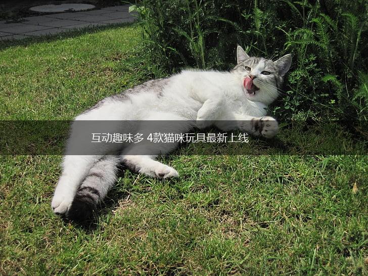 互动趣味多 4款猫咪玩具最新上线,第1张