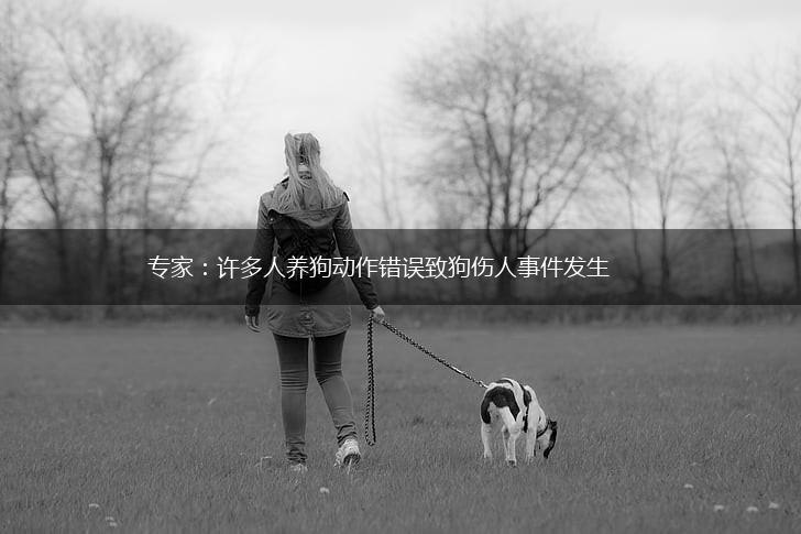 专家：许多人养狗动作错误致狗伤人事件发生,第1张