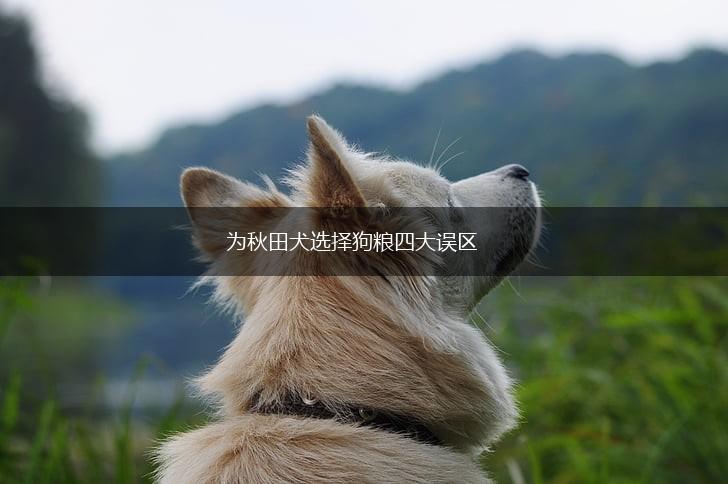 为秋田犬选择狗粮四大误区,第1张