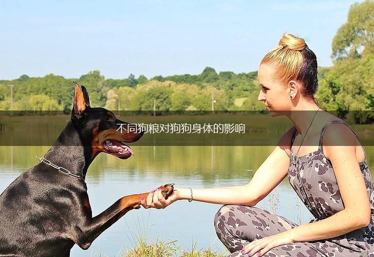 不同狗粮对狗狗身体的影响,第1张