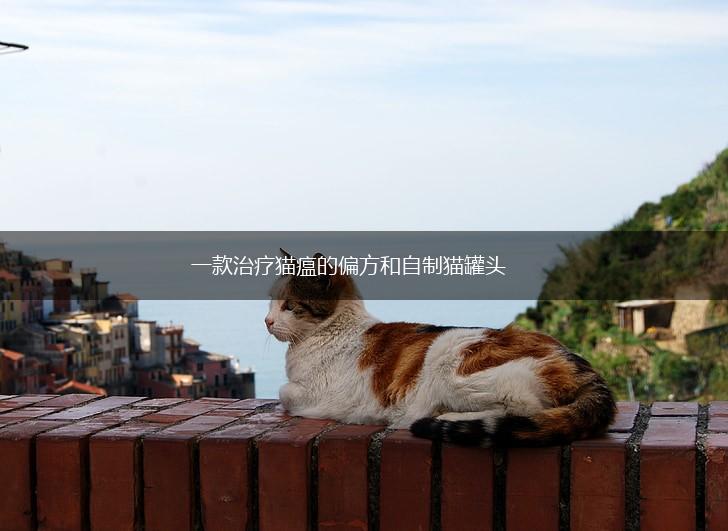一款治疗猫瘟的偏方和自制猫罐头,第1张