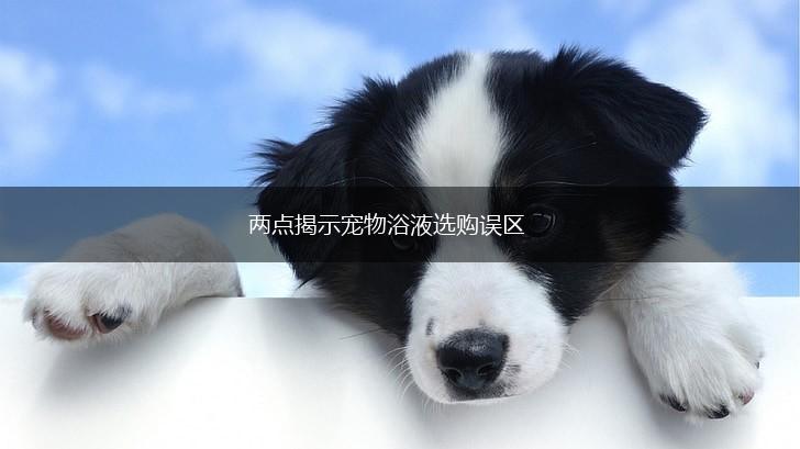 两点揭示宠物浴液选购误区,第1张
