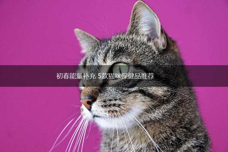 初春能量补充 5款猫咪保健品推荐,第1张