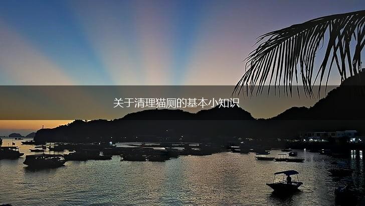 关于清理猫厕的基本小知识,第1张