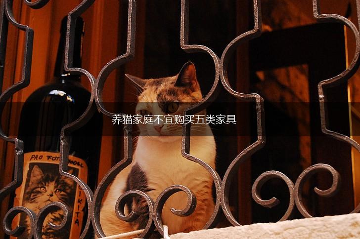 养猫家庭不宜购买五类家具,第1张