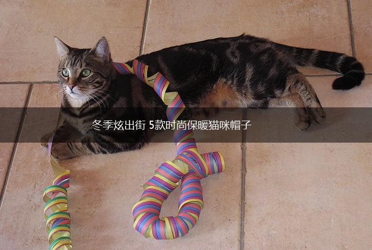 冬季炫出街 5款时尚保暖猫咪帽子,第1张