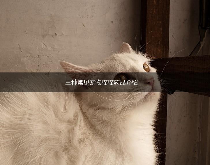 三种常见宠物猫猫药品介绍,第1张