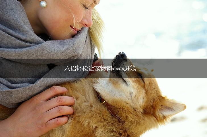 六招轻松让宠物狗乖乖进笼,第1张