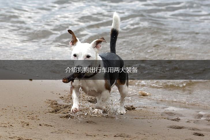 介绍狗狗出行车用两大装备,第1张