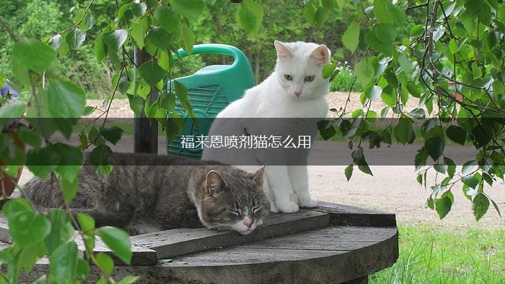 福来恩喷剂猫怎么用,第1张