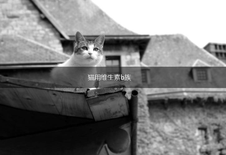 猫用维生素b族,第1张 猫用维生素b族,第1张