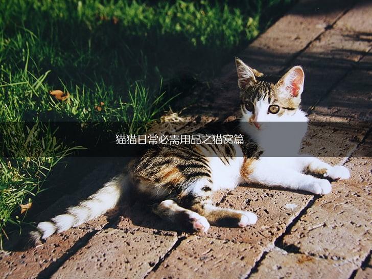 猫猫日常必需用品之猫窝篇,第1张 猫猫日常必需用品之猫窝篇,第1张