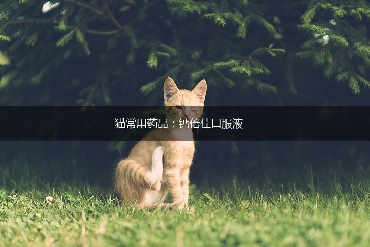 猫常用药品:钙倍佳口服液,第1张 猫常用药品:钙倍佳口服液,第1张