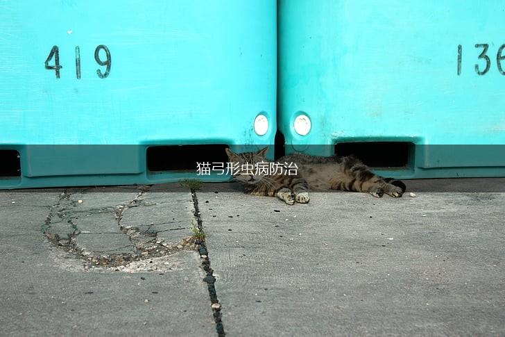 猫弓形虫病防治,第1张 猫弓形虫病防治,第1张