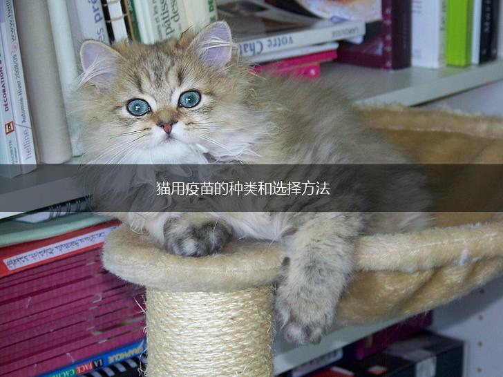 猫用疫苗的种类和选择方法,第1张 猫用疫苗的种类和选择方法,第1张