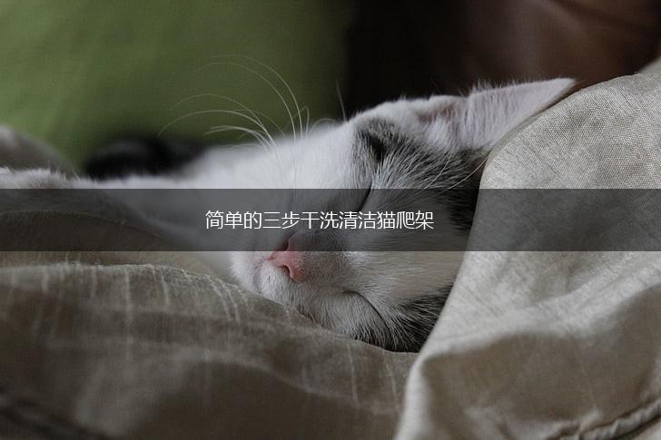 简单的三步干洗清洁猫爬架,第1张