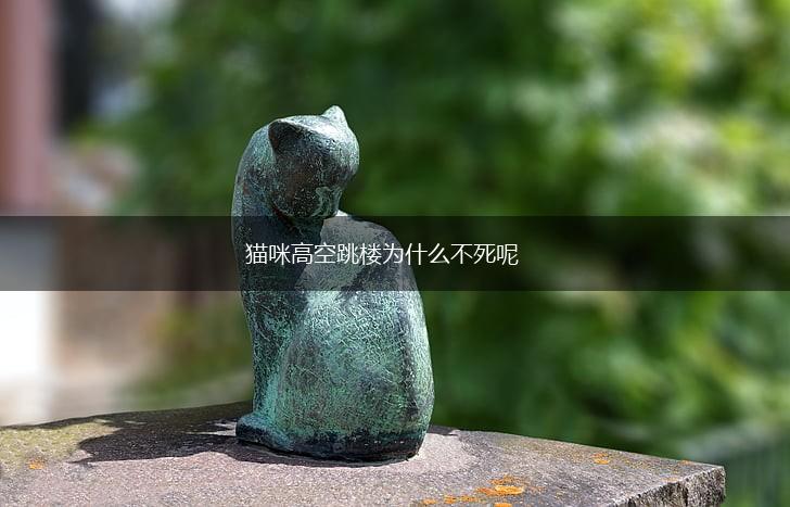 猫咪高空跳楼为什么不死呢,第1张 猫咪高空跳楼为什么不死呢,第1张