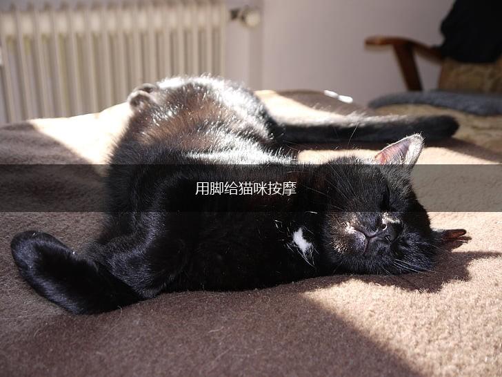 用脚给猫咪按摩,第1张 用脚给猫咪按摩,第1张