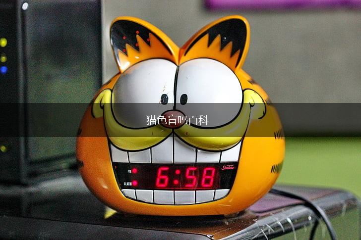 猫色盲吗百科,第1张