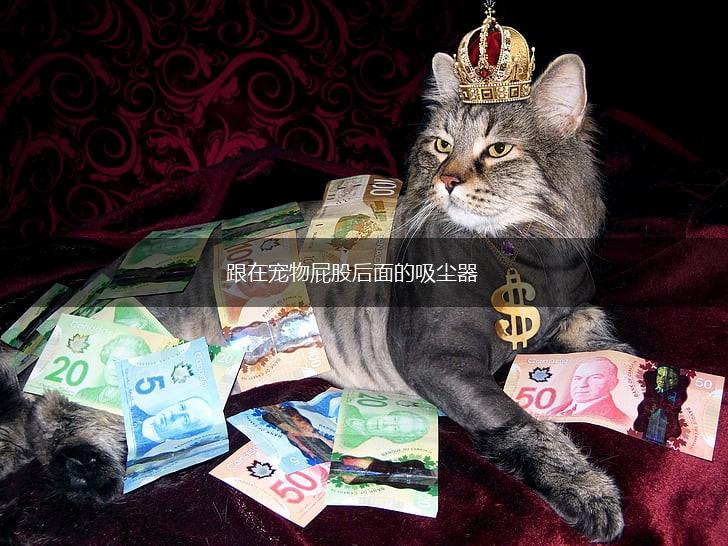 跟在宠物屁股后面的吸尘器,第1张