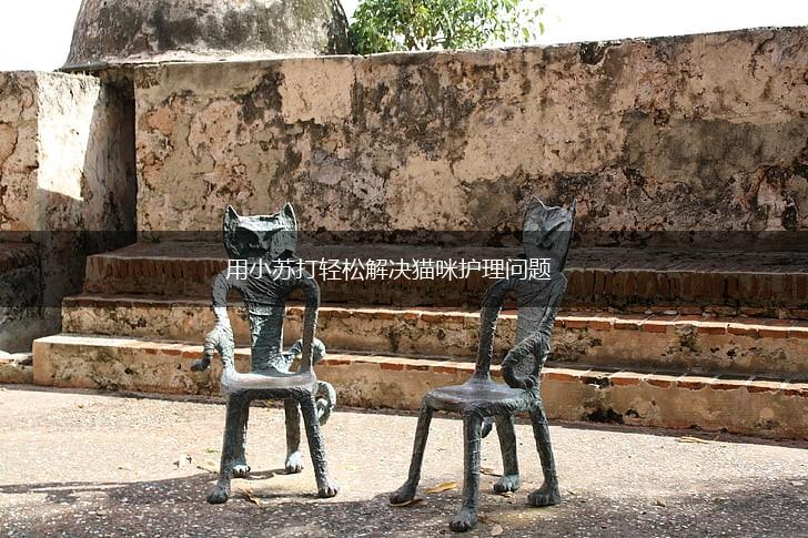 用小苏打轻松解决猫咪护理问题,第1张