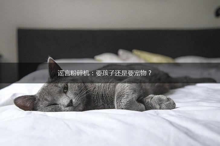 谣言粉碎机：要孩子还是要宠物？,第1张