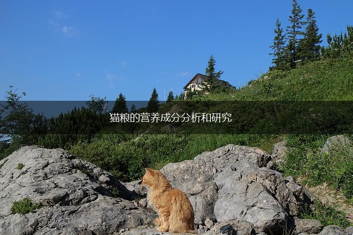猫粮的营养成分分析和研究,第1张