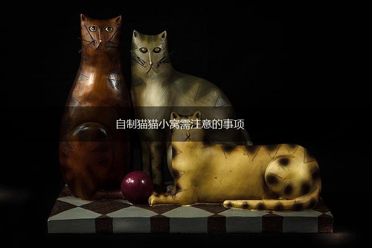 自制猫猫小窝需注意的事项,第1张 自制猫猫小窝需注意的事项,第1张