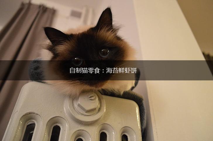 自制猫零食：海苔鲜虾饼,第1张