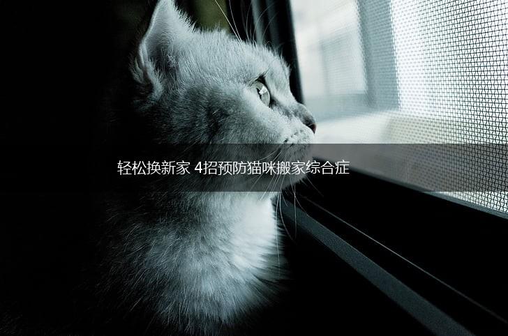 轻松换新家 4招预防猫咪搬家综合症,第1张 轻松换新家 4招预防猫咪搬家综合症,第1张