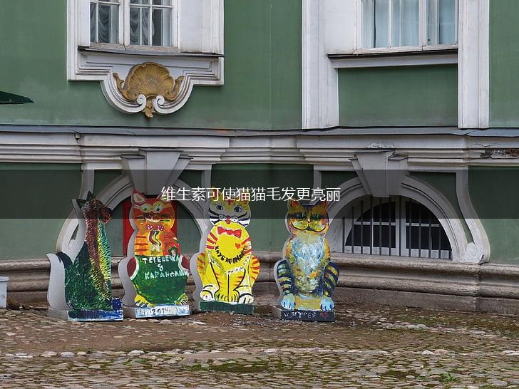 维生素可使猫猫毛发更亮丽,第1张