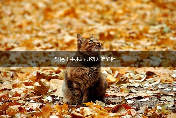 警惕！手术后切勿大催醒针,第1张