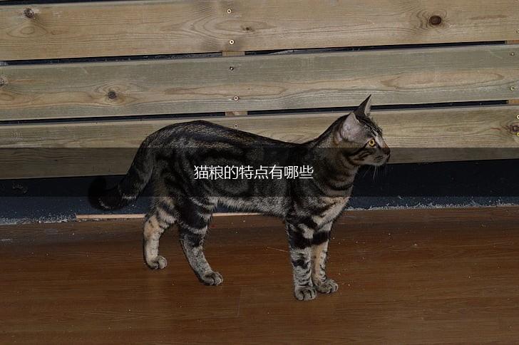 猫粮的特点有哪些,第1张 猫粮的特点有哪些,第1张