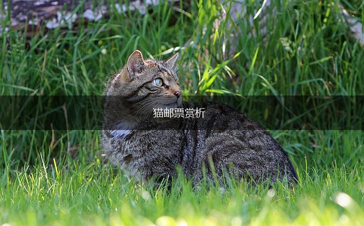 猫邮票赏析,第1张