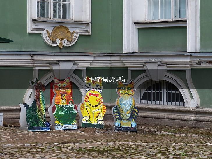 长毛猫得皮肤病,第1张