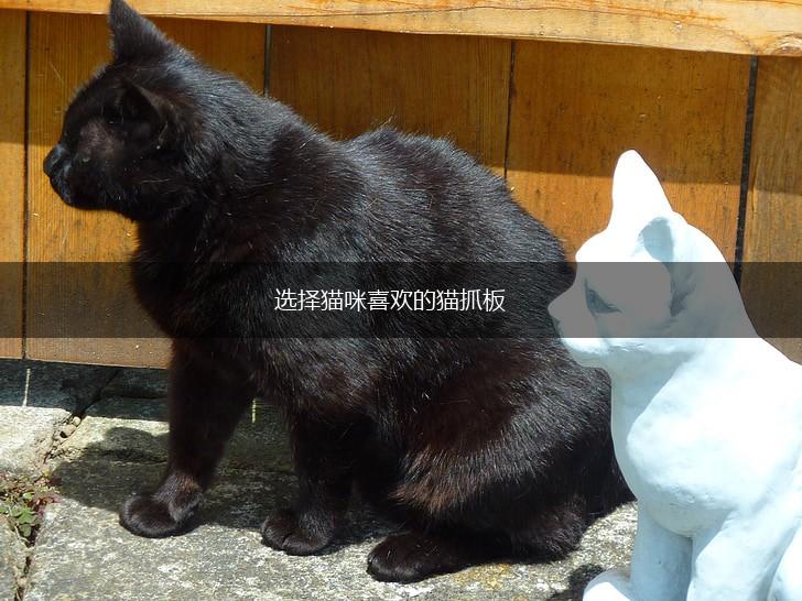 选择猫咪喜欢的猫抓板,第1张